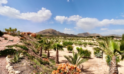 Venta - Villa - Albatera - Albatera Centro