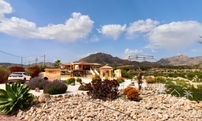 Venta - Villa - Albatera - Albatera Centro