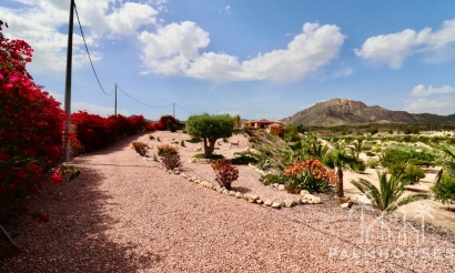 Venta - Villa - Albatera - Albatera Centro