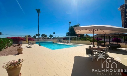 Venta - Villa - Catral - Catral Centro