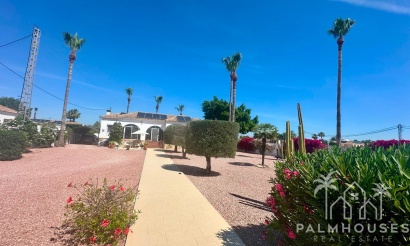 Venta - Villa - Catral - Catral Centro