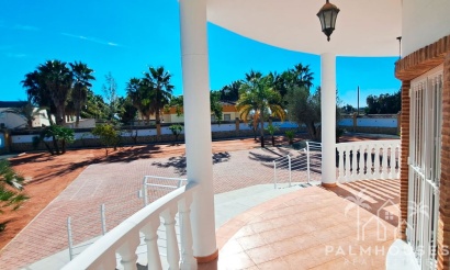 Venta - Villa - Catral - Catral Centro