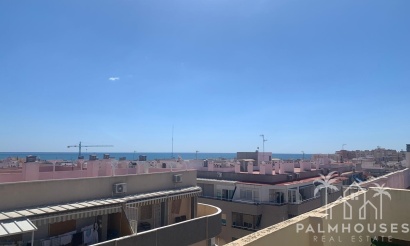 Revente - Apartment - Torrevieja - Torrevieja Centro