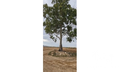 Herverkoop - Plot - Murcia - Sucina