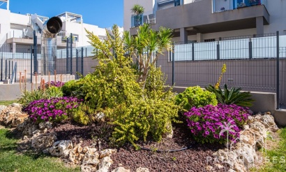 Revente - Apartment - Torrevieja - Aguas Nuevas
