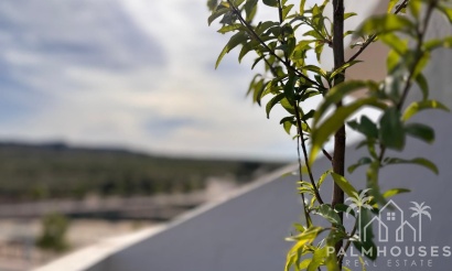 Revente - Apartment - San Miguel de Salinas - San Miguel de Salinas Centro