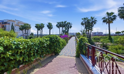 Herverkoop - Appartement - Orihuela - Playa Flamenca