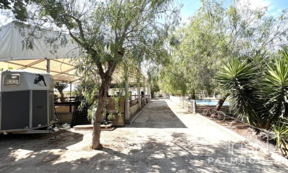 Herverkoop - Huis - Orihuela - Orihuela Centro