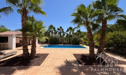 Revente - Villa - Elche - Torrellano