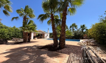 Revente - Villa - Elche - Torrellano