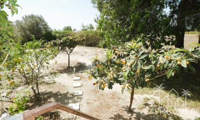 Revente - Country house - Dolores - Dolores Centro