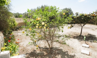 Revente - Country house - Dolores - Dolores Centro