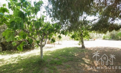 Revente - Country house - Dolores - Dolores Centro
