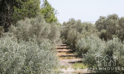 Revente - Country house - Dolores - Dolores Centro