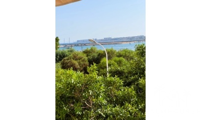 Revente - Apartment - Torrevieja - Torrevieja Centro