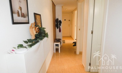 Herverkoop - Appartement - Torrevieja - Torrevieja Centro