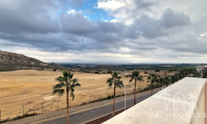 Venta - Villa - Algorfa - Algorfa Centro