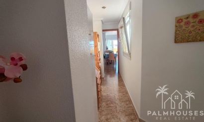 Revente - Apartment - Torrevieja - Paseo maritimo
