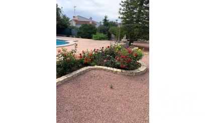 Revente - Villa - Rojales - Ciudad Quesada