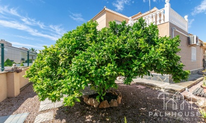 Revente - Villa - Orihuela - Orihuela Costa