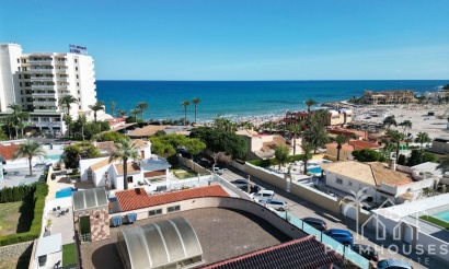 Revente - Villa - Orihuela - Orihuela Costa