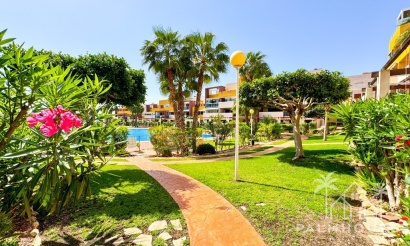 Venta - Apartment - Orihuela - Playa Flamenca