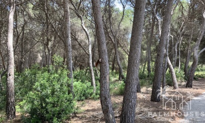 Herverkoop - Plot - Teulada - Moraira