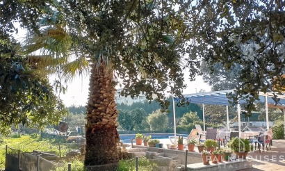Revente - Villa - Denia - Denia Centro