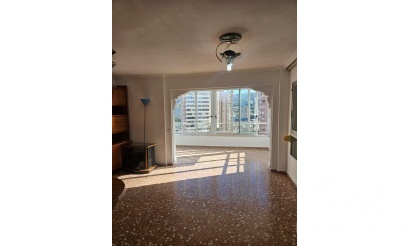 Revente - Apartment - Benidorm - Benidorm Centro