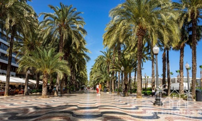 Herverkoop - Appartement - Alicante - Costa Blanca