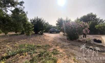 Herverkoop - Country house - Pinoso - Pinoso Centro