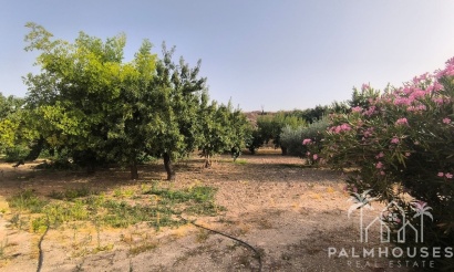 Herverkoop - Country house - Pinoso - Pinoso Centro