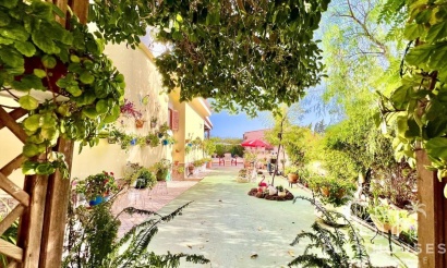 Revente - Villa - Alicante - Daya Vieja