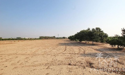 Resale - Finca - Alicante - Comunidad Valenciana