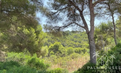 Venta - Plot - Jávea - Xàbia - Jávea - Xàbia Centro