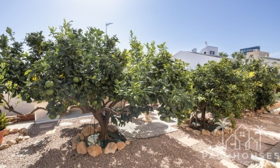 Revente - Villa - Orihuela - La Regia