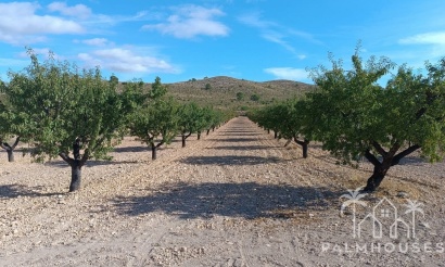 Venta - Plot - Yecla - Yecla Centro