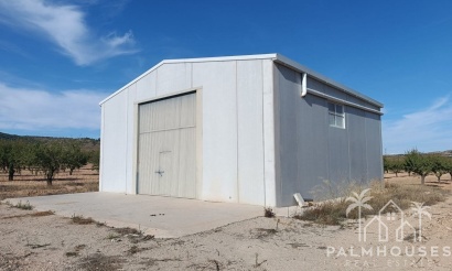 Venta - Plot - Yecla - Yecla Centro