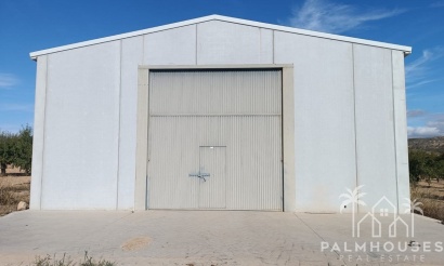 Venta - Plot - Yecla - Yecla Centro