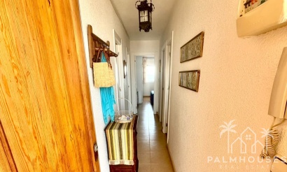 Revente - Apartment - Torrevieja - Costa Blanca
