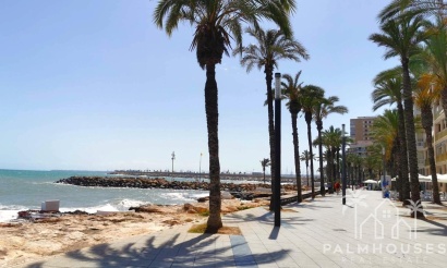 Herverkoop - Appartement - Torrevieja - Playa del cura