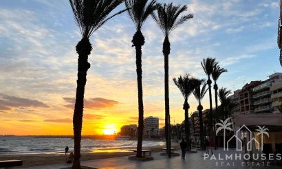 Herverkoop - Appartement - Torrevieja - Playa del cura
