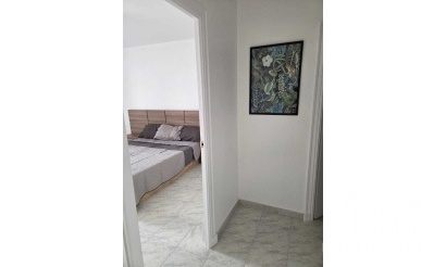 Revente - Apartment - Torrevieja - Habaneras