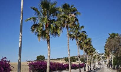 Venta - Villa - Algorfa - Inland