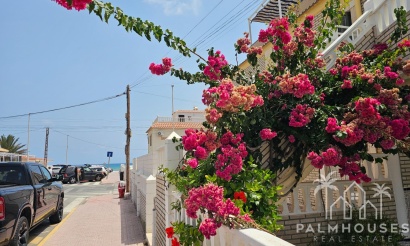 Herverkoop - Appartement - Torrevieja - Los Europeos