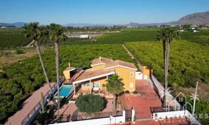 Venta - Finca - Orihuela - Inland