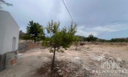 Resale - Villa - La Solana