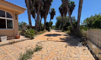 Revente - Finca - Dolores - Comunidad Valenciana
