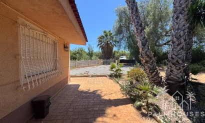 Revente - Finca - Dolores - Comunidad Valenciana