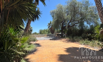 Revente - Finca - Dolores - Comunidad Valenciana